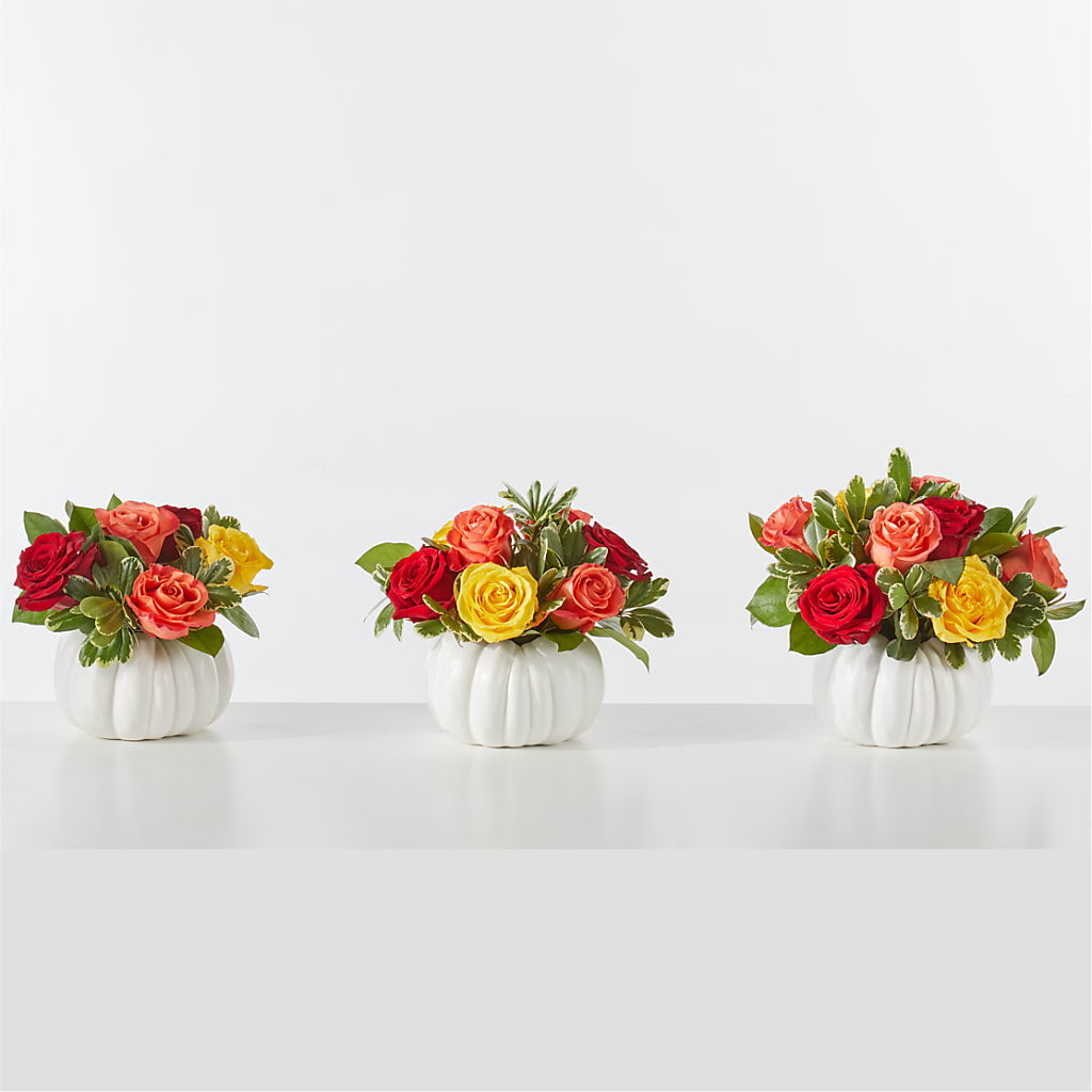 Gourd of Gratitude – VERN'S SHARONVILLE FLORIST, Cincinnati OH