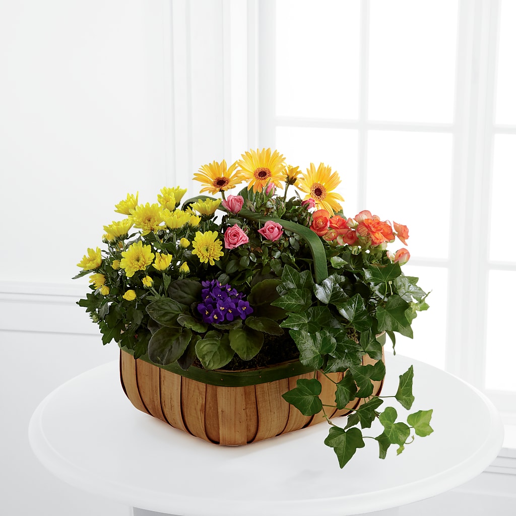 Gentle Blossoms Basket – VERN'S SHARONVILLE FLORIST, Cincinnati OH
