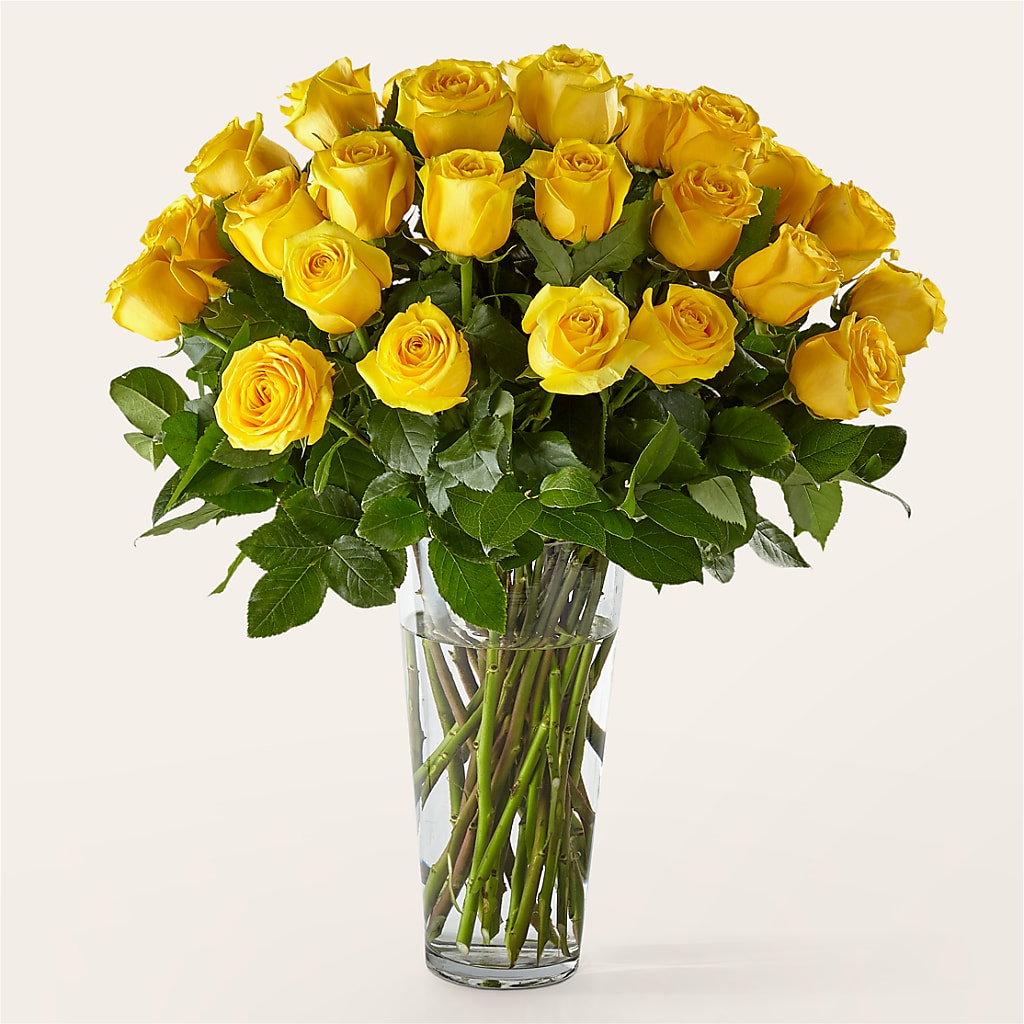 Long Stem Yellow Rose Bouquet – VERN'S SHARONVILLE FLORIST, Cincinnati OH