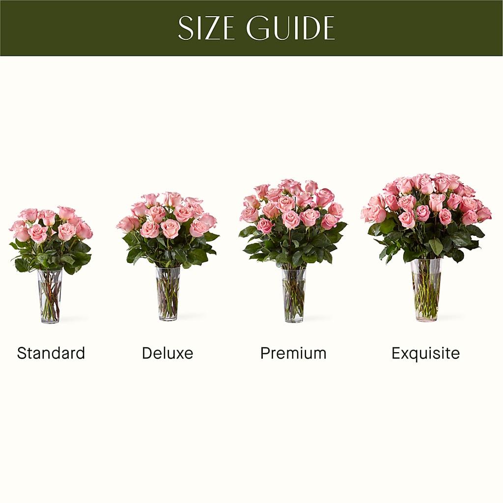 Long Stem Pink Rose Bouquet – VERN'S SHARONVILLE FLORIST, Cincinnati OH