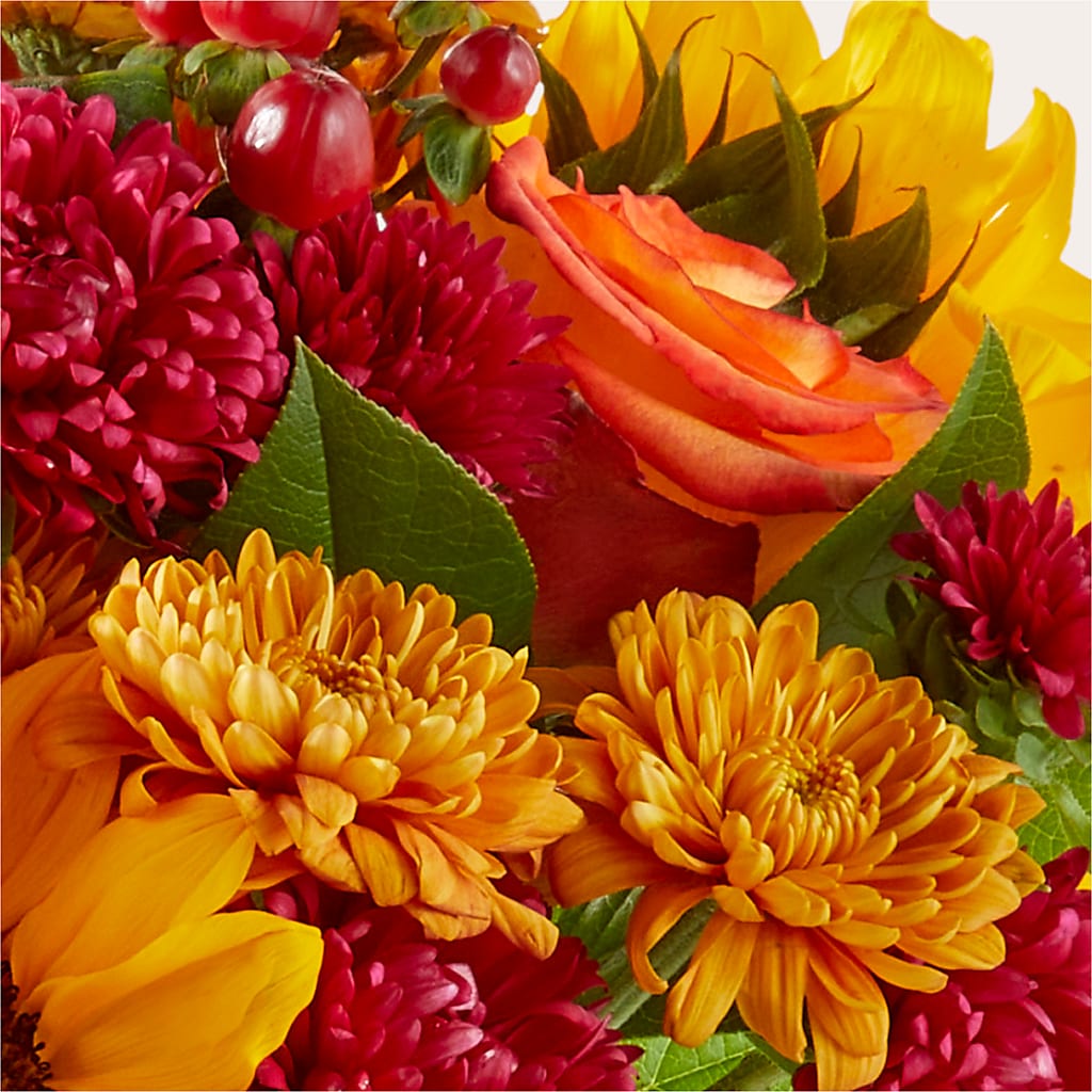 Sweater Season - A Florist Original – VERN'S SHARONVILLE FLORIST, Cincinnati OH