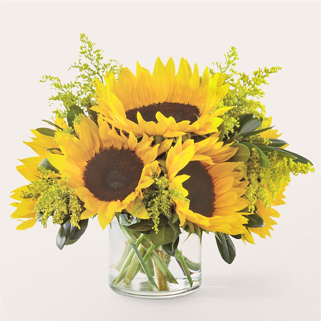 Beaming Sunflower Bouquet – VERN'S SHARONVILLE FLORIST, Cincinnati OH