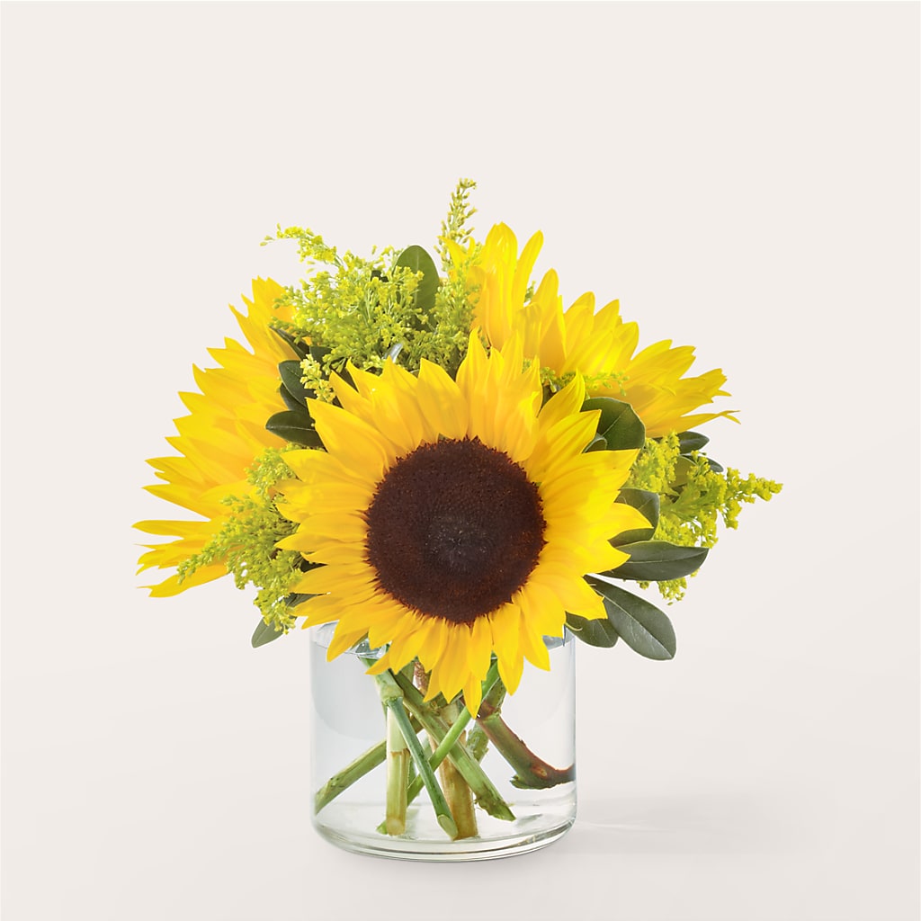 Beaming Sunflower Bouquet – VERN'S SHARONVILLE FLORIST, Cincinnati OH