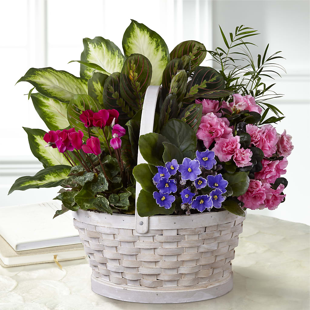 Peaceful Garden Planter – VERN'S SHARONVILLE FLORIST, Cincinnati OH