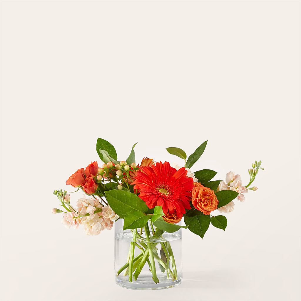 Paloma Please Bouquet – VERN'S SHARONVILLE FLORIST, Cincinnati OH