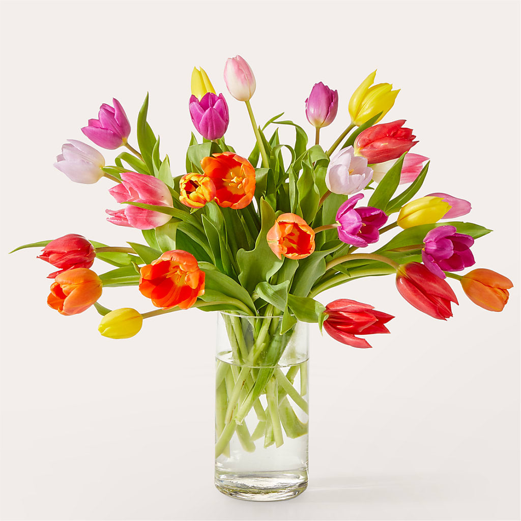 Let's Talk Tulips Bouquet – VERN'S SHARONVILLE FLORIST, Cincinnati OH