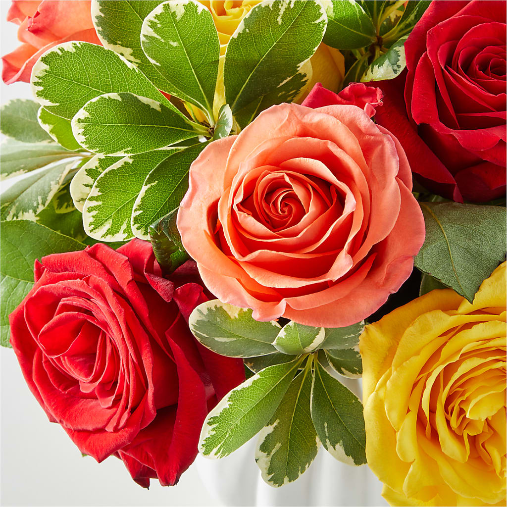 Gourd of Gratitude – VERN'S SHARONVILLE FLORIST, Cincinnati OH