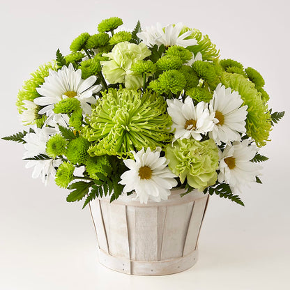 Lucky Charm Basket (Standard) – VERN'S SHARONVILLE FLORIST, Cincinnati OH