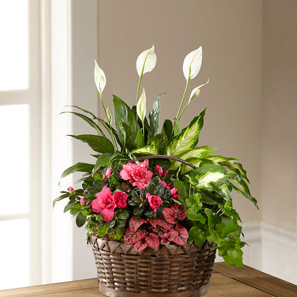 Dream in Pink Dishgarden – VERN'S SHARONVILLE FLORIST, Cincinnati OH