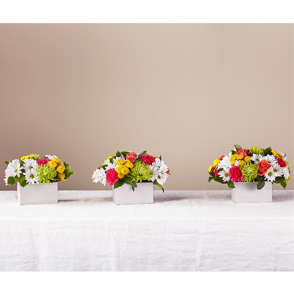 Sorbet Bouquet – VERN'S SHARONVILLE FLORIST, Cincinnati OH