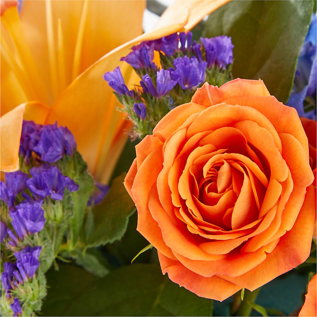 Radiant Citrus Box Bouquet – VERN'S SHARONVILLE FLORIST, Cincinnati OH