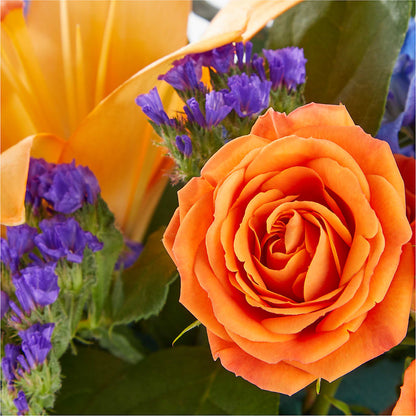 Radiant Citrus Box Bouquet – VERN'S SHARONVILLE FLORIST, Cincinnati OH
