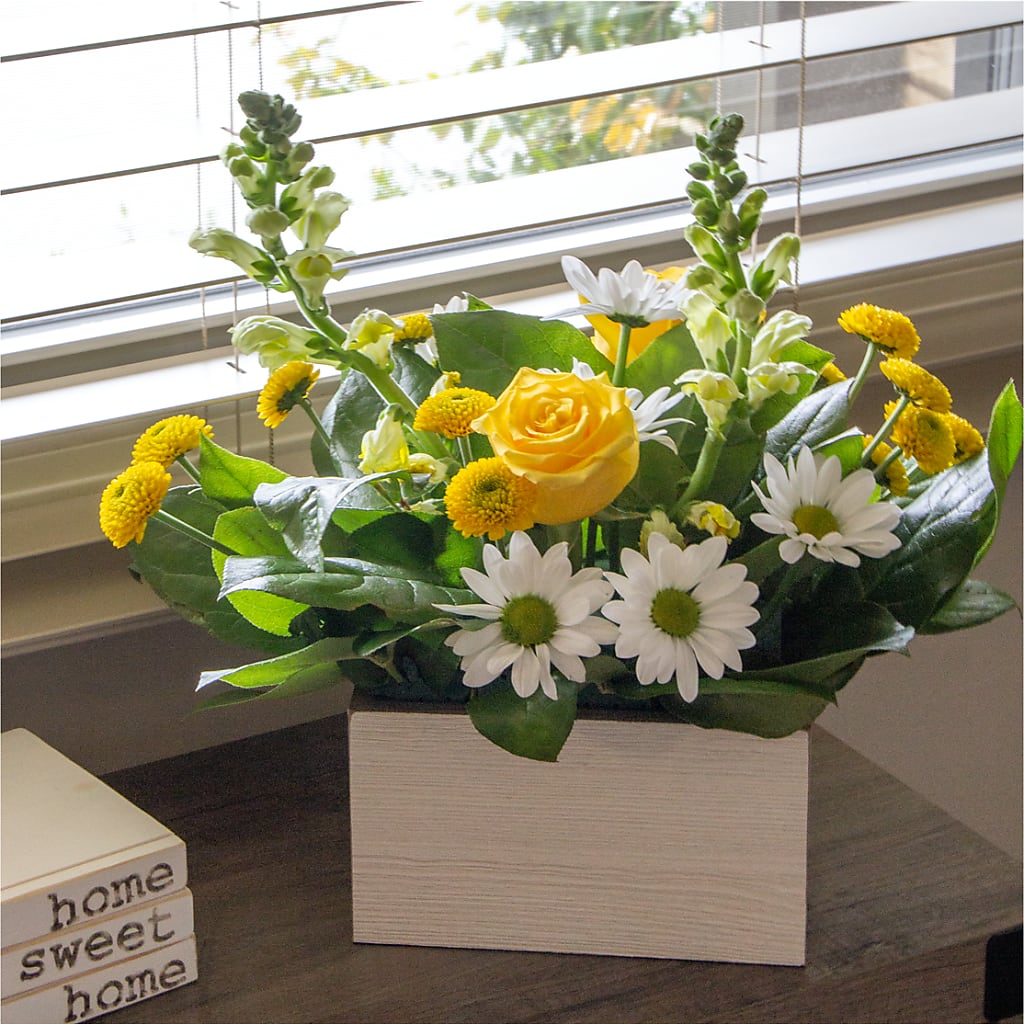 Sun Salutation Box Bouquet – VERN'S SHARONVILLE FLORIST, Cincinnati OH