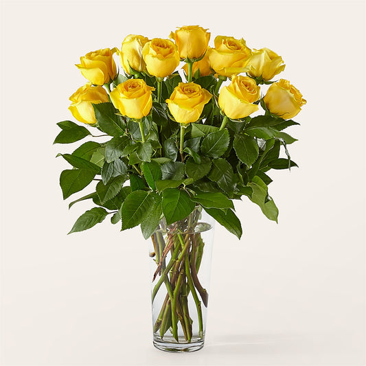 Long Stem Yellow Rose Bouquet – VERN'S SHARONVILLE FLORIST, Cincinnati OH