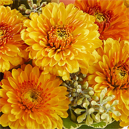Peachy Pumpkin – VERN'S SHARONVILLE FLORIST, Cincinnati OH