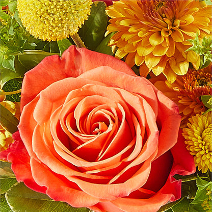 Gourdgeous Pumpkin – VERN'S SHARONVILLE FLORIST, Cincinnati OH