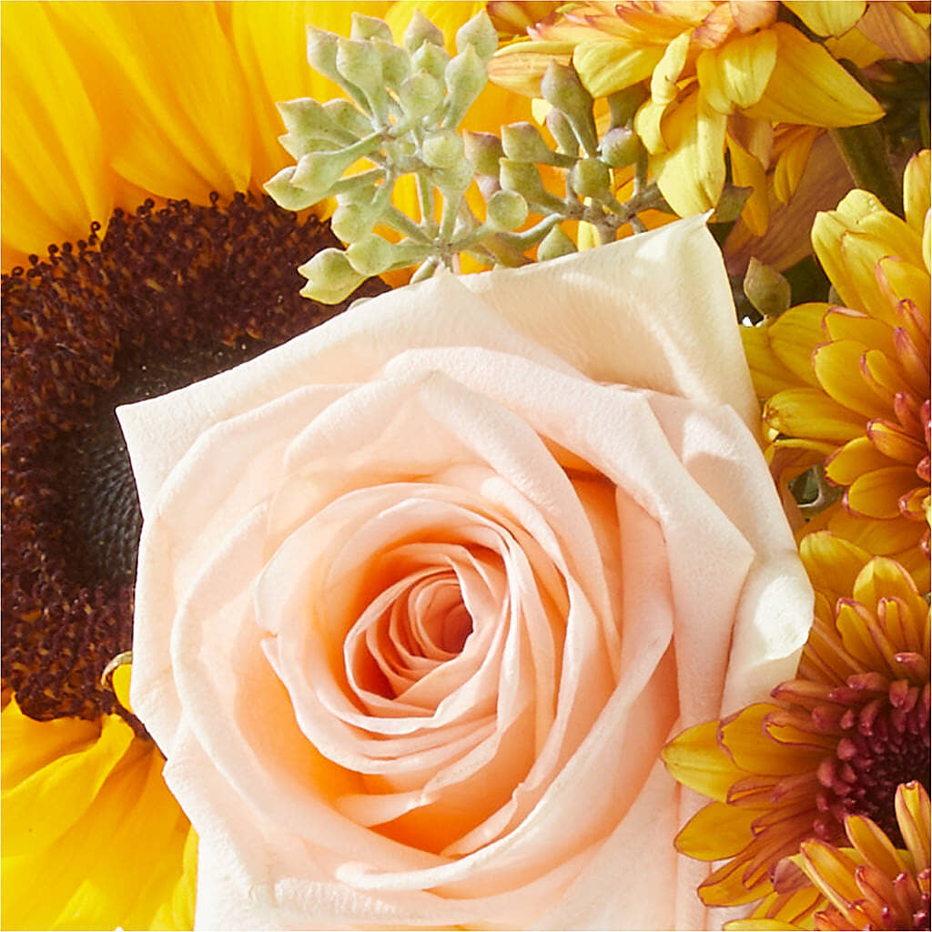 Pumpkin to Talk About Bouquet – VERN'S SHARONVILLE FLORIST, Cincinnati OH