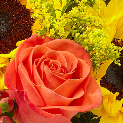 Pick of the Patch Pumpkin Bouquet – VERN'S SHARONVILLE FLORIST, Cincinnati OH