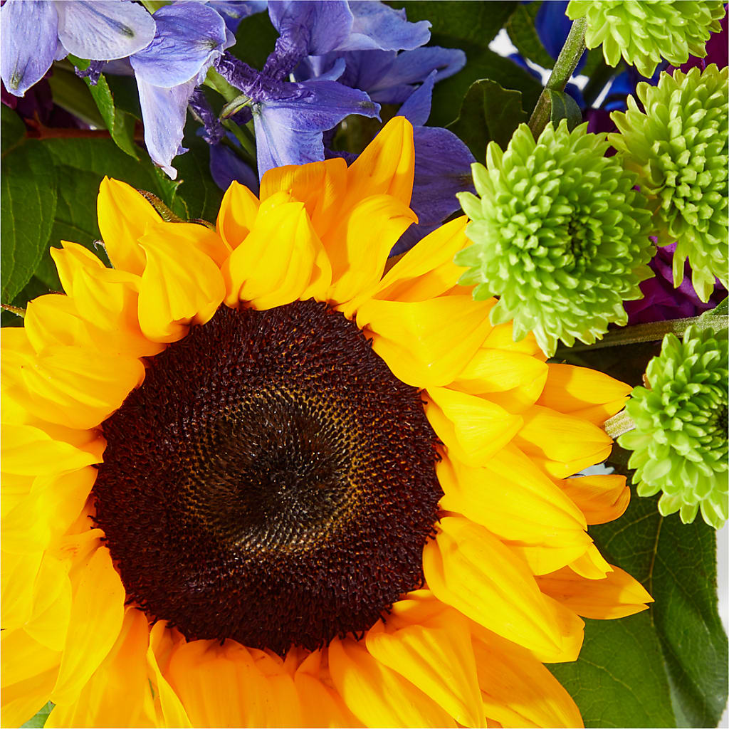 Catching Rays Bouquet – VERN'S SHARONVILLE FLORIST, Cincinnati OH