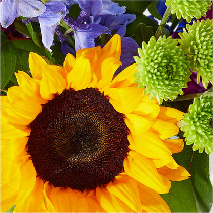 Catching Rays Bouquet – VERN'S SHARONVILLE FLORIST, Cincinnati OH