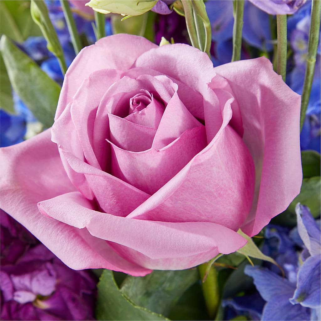 Twilight Glow Bouquet – VERN'S SHARONVILLE FLORIST, Cincinnati OH