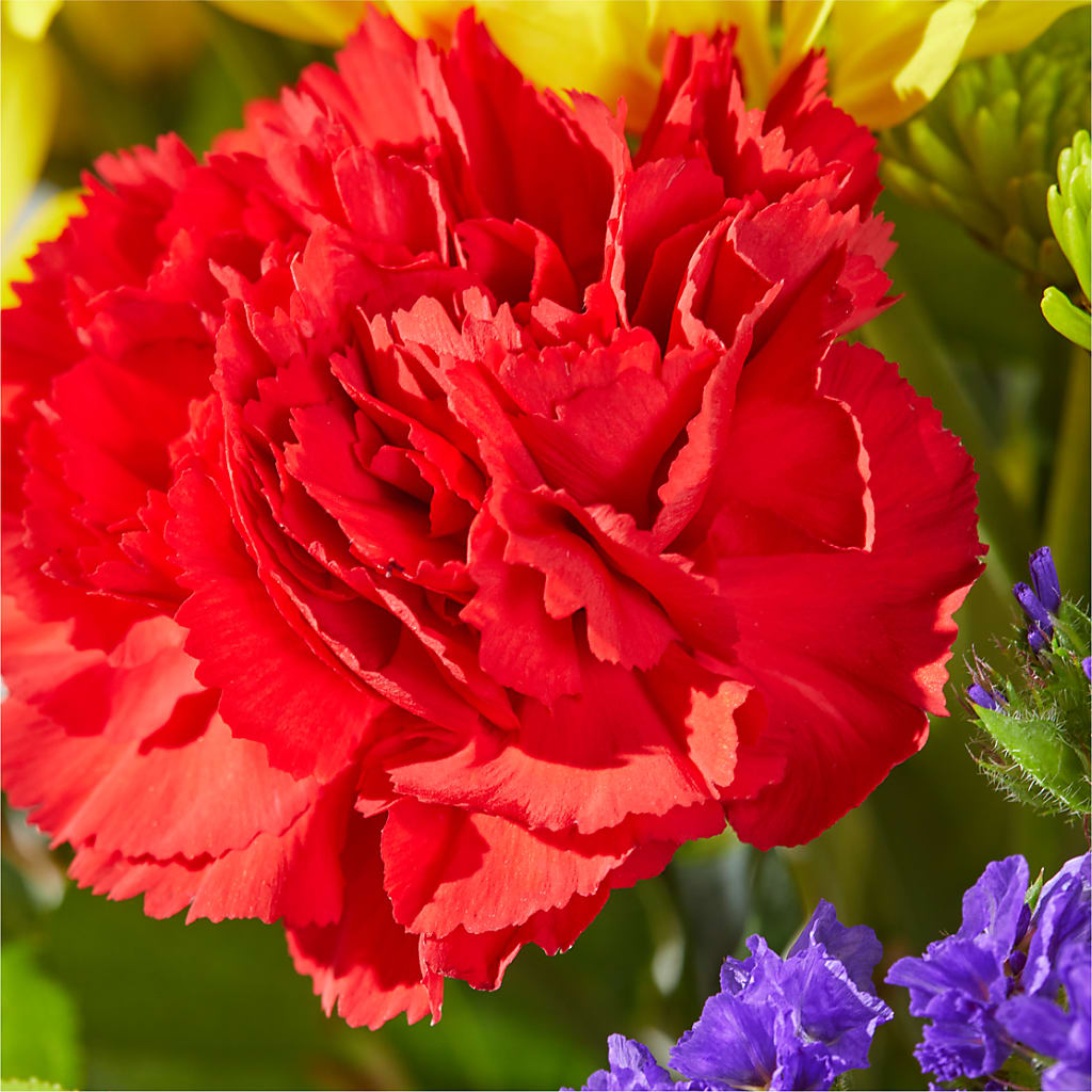 Brighter Days Bouquet – VERN'S SHARONVILLE FLORIST, Cincinnati OH