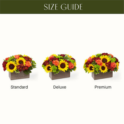 Happy Harvest Garden – VERN'S SHARONVILLE FLORIST, Cincinnati OH
