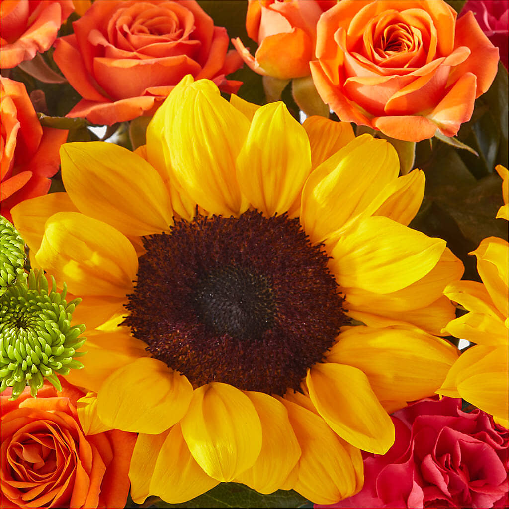 Sun-drenched Blooms Box Bouquet – VERN'S SHARONVILLE FLORIST, Cincinnati OH