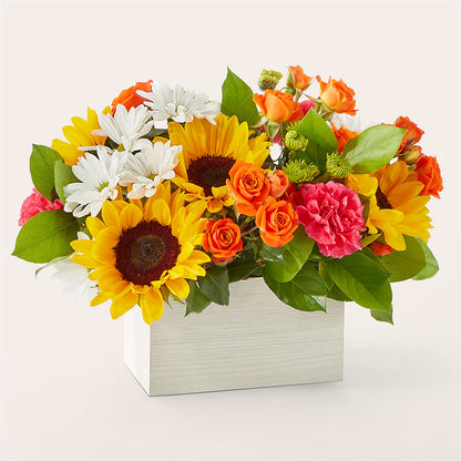 Sun-drenched Blooms Box Bouquet – VERN'S SHARONVILLE FLORIST, Cincinnati OH