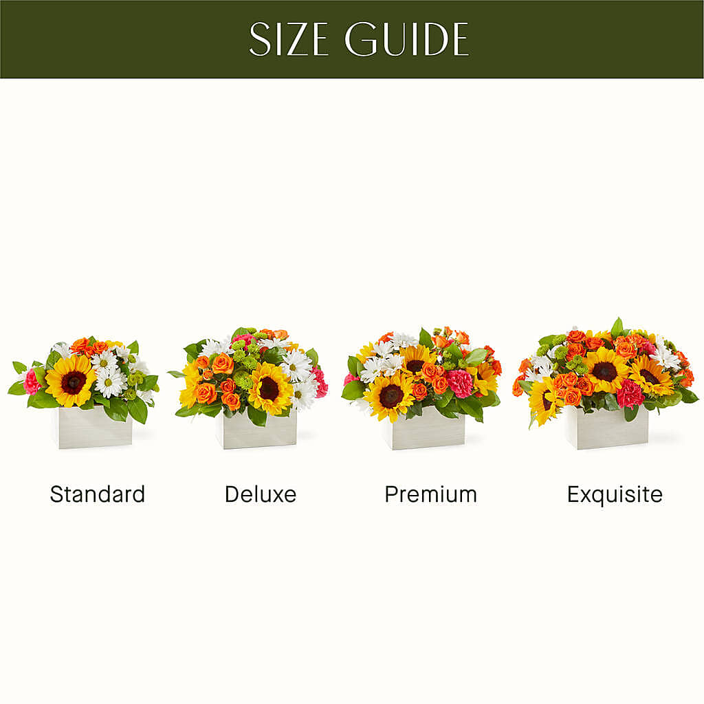 Sun-drenched Blooms Box Bouquet – VERN'S SHARONVILLE FLORIST, Cincinnati OH