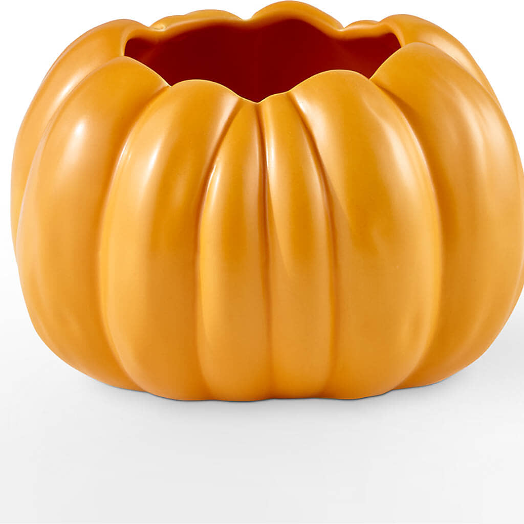 Golden Gourd Pumpkin Bouquet – VERN'S SHARONVILLE FLORIST, Cincinnati OH