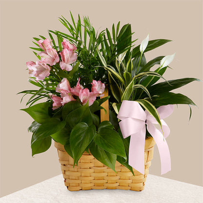 Living Spirit Dishgarden – VERN'S SHARONVILLE FLORIST, Cincinnati OH