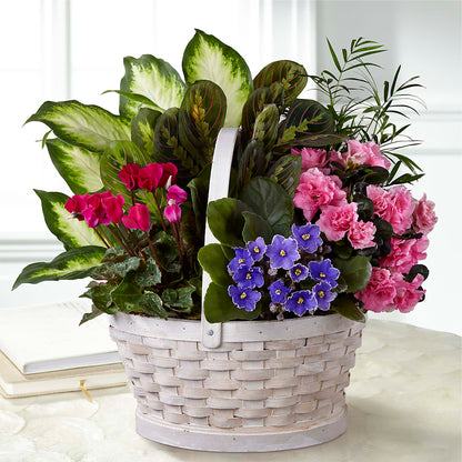 Peaceful Garden Planter – VERN'S SHARONVILLE FLORIST, Cincinnati OH