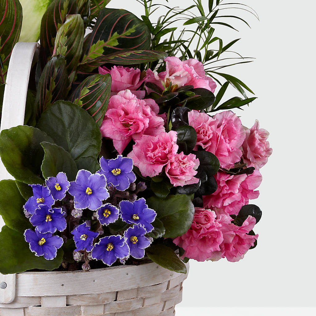 Peaceful Garden Planter – VERN'S SHARONVILLE FLORIST, Cincinnati OH