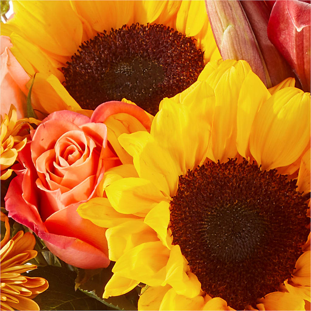 Acorn Lane Bouquet – VERN'S SHARONVILLE FLORIST, Cincinnati OH