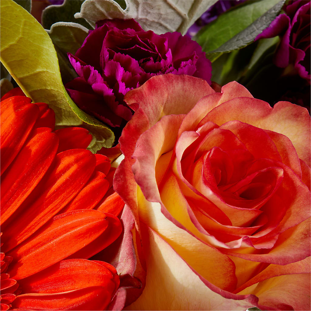 Sangria Bouquet – VERN'S SHARONVILLE FLORIST, Cincinnati OH