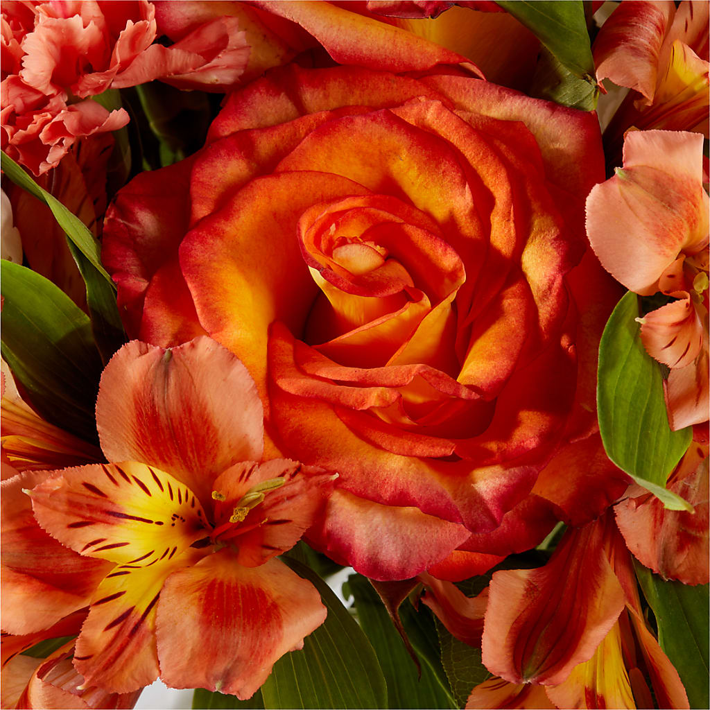 Apricot Glow Bouquet – VERN'S SHARONVILLE FLORIST, Cincinnati OH