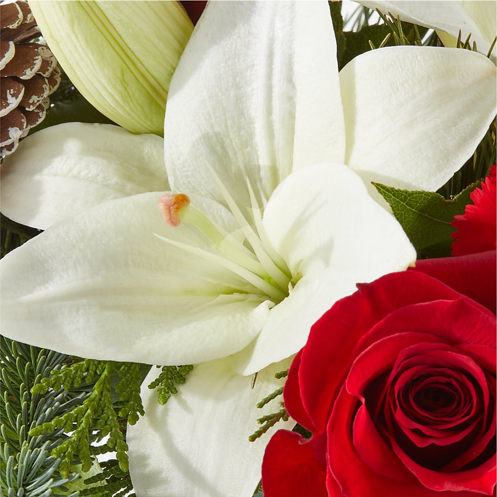 Oh So Jolly Bouquet – VERN'S SHARONVILLE FLORIST, Cincinnati OH