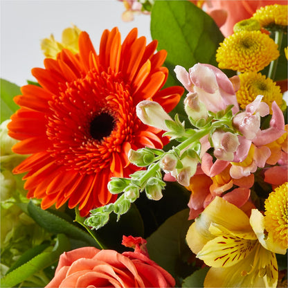 Autumn Sunshine Bouquet – VERN'S SHARONVILLE FLORIST, Cincinnati OH