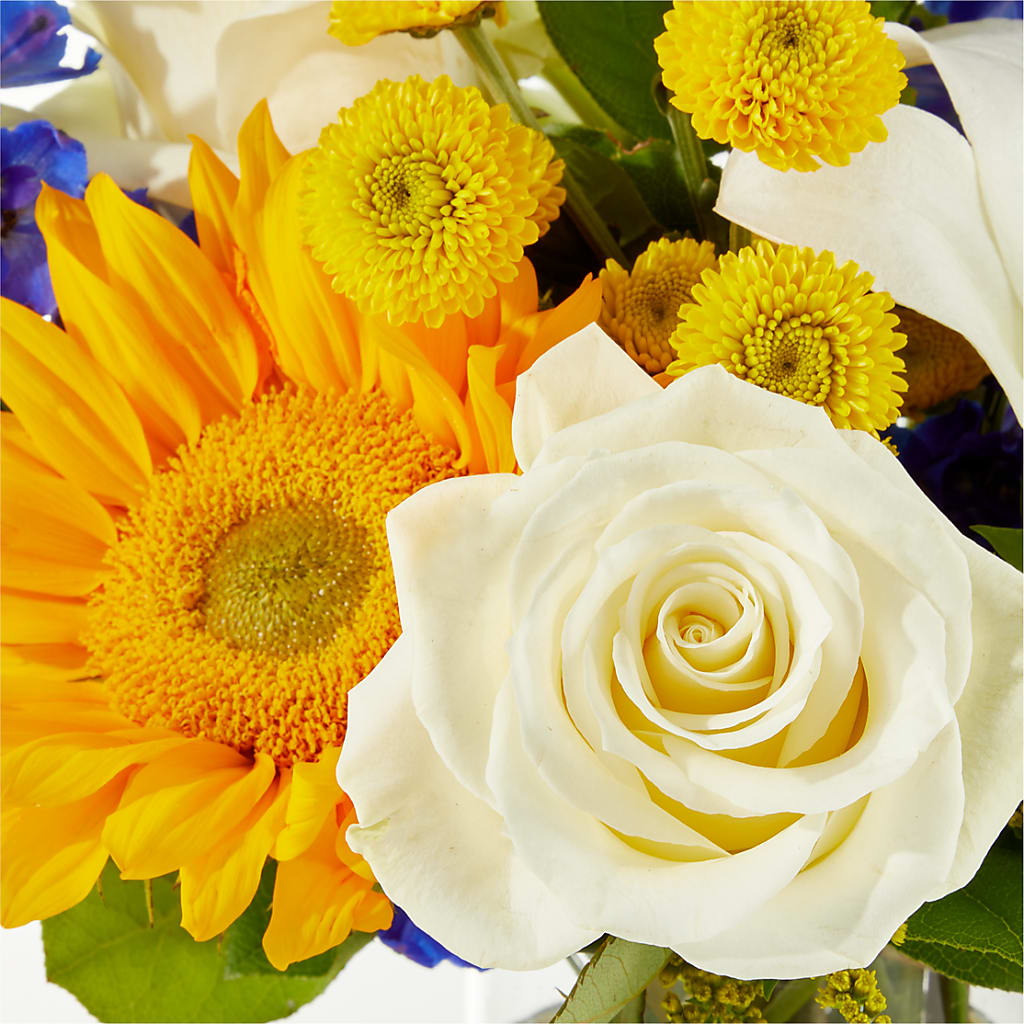 Stargazing Bouquet – VERN'S SHARONVILLE FLORIST, Cincinnati OH