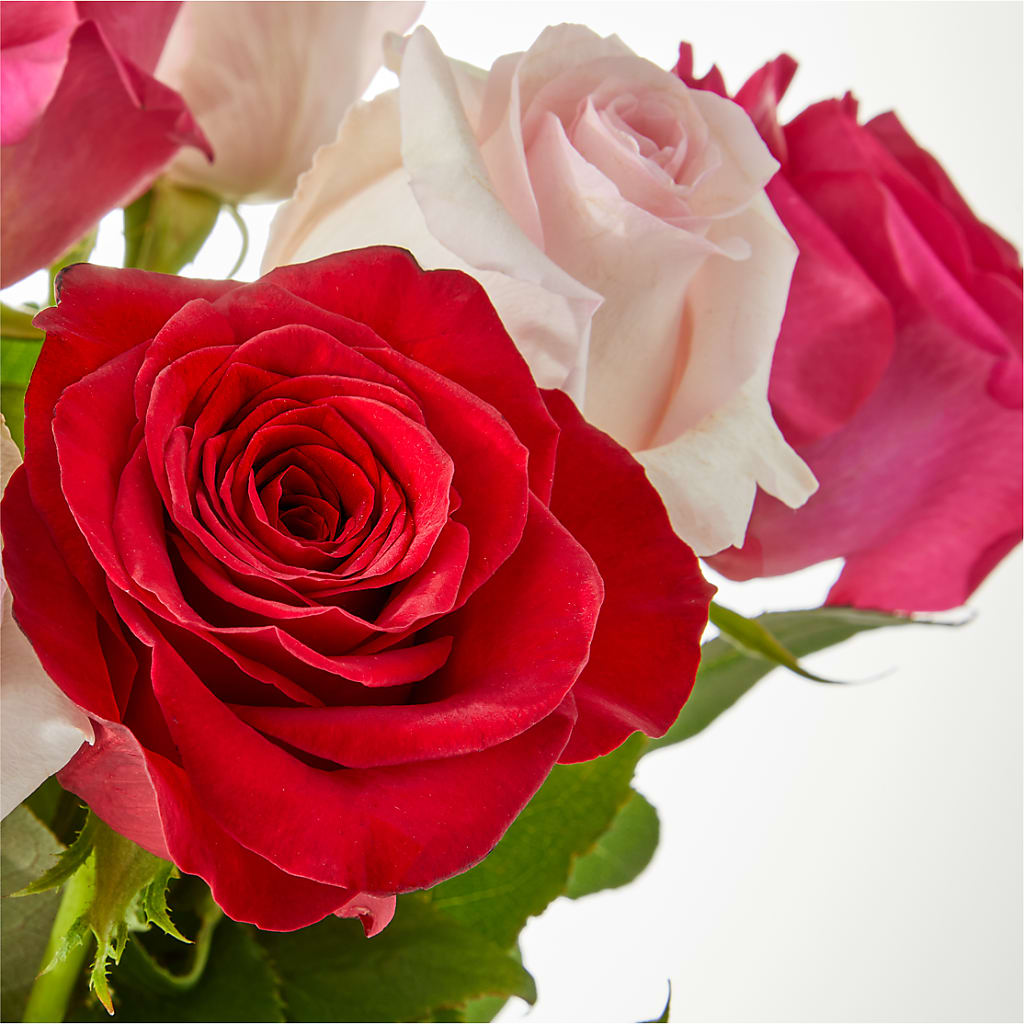 Charming Rose Bouquet – VERN'S SHARONVILLE FLORIST, Cincinnati OH