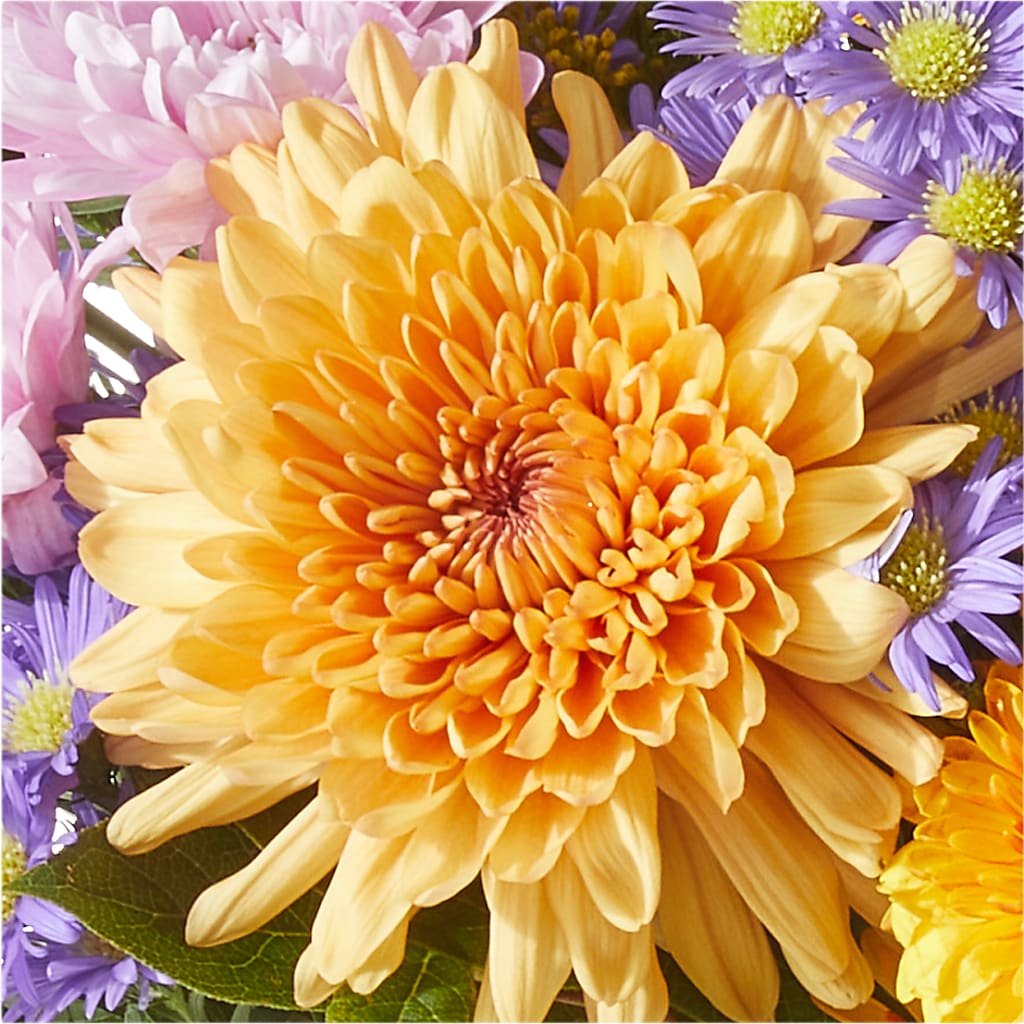 Countryside Bouquet – VERN'S SHARONVILLE FLORIST, Cincinnati OH