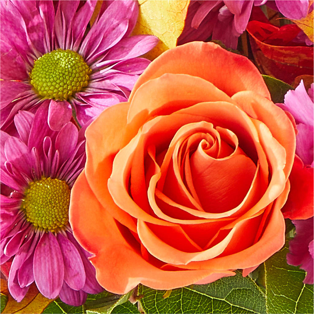 Mum's the Word Bouquet – VERN'S SHARONVILLE FLORIST, Cincinnati OH