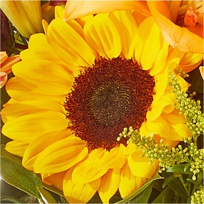Seasons Change Bouquet – VERN'S SHARONVILLE FLORIST, Cincinnati OH