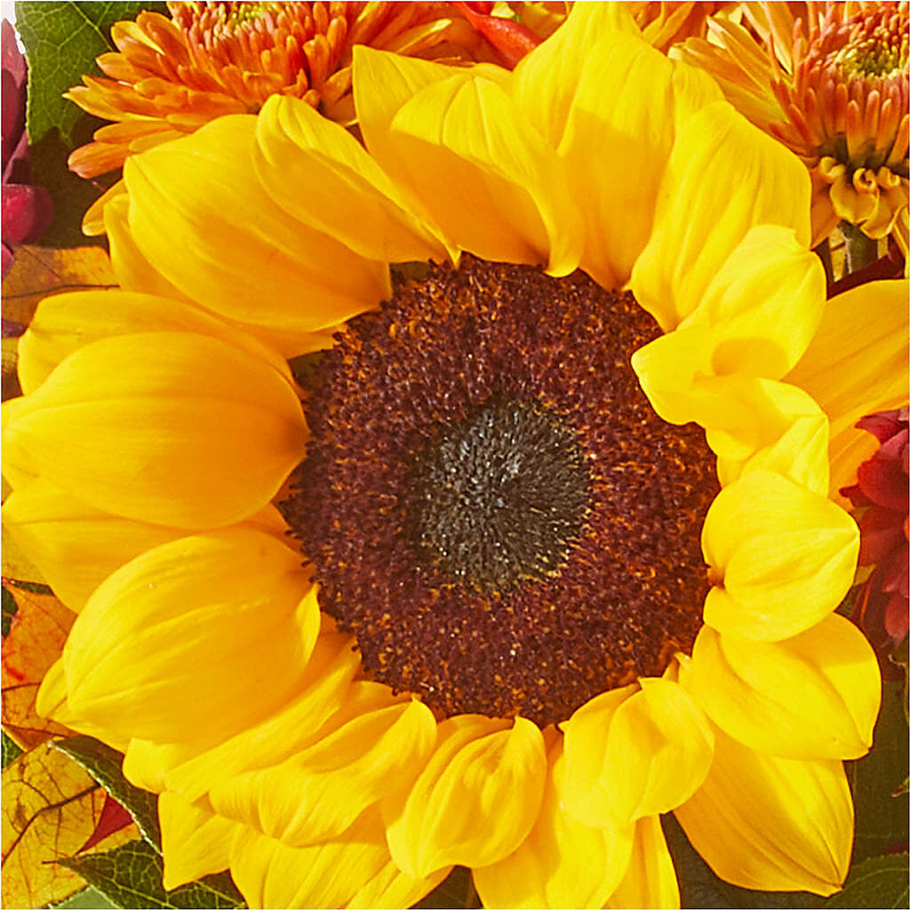 Sunny Side Bouquet – VERN'S SHARONVILLE FLORIST, Cincinnati OH