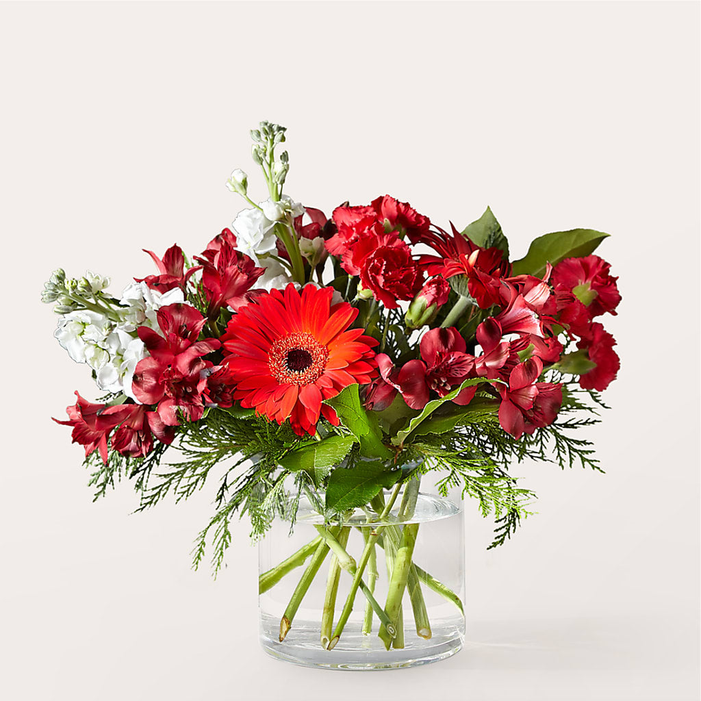 Holidaisy Bouquet – VERN'S SHARONVILLE FLORIST, Cincinnati OH