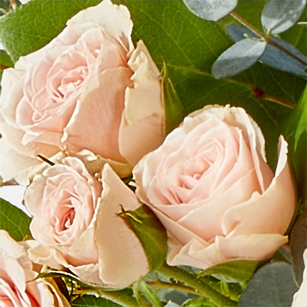 Inspired Bouquet – VERN'S SHARONVILLE FLORIST, Cincinnati OH