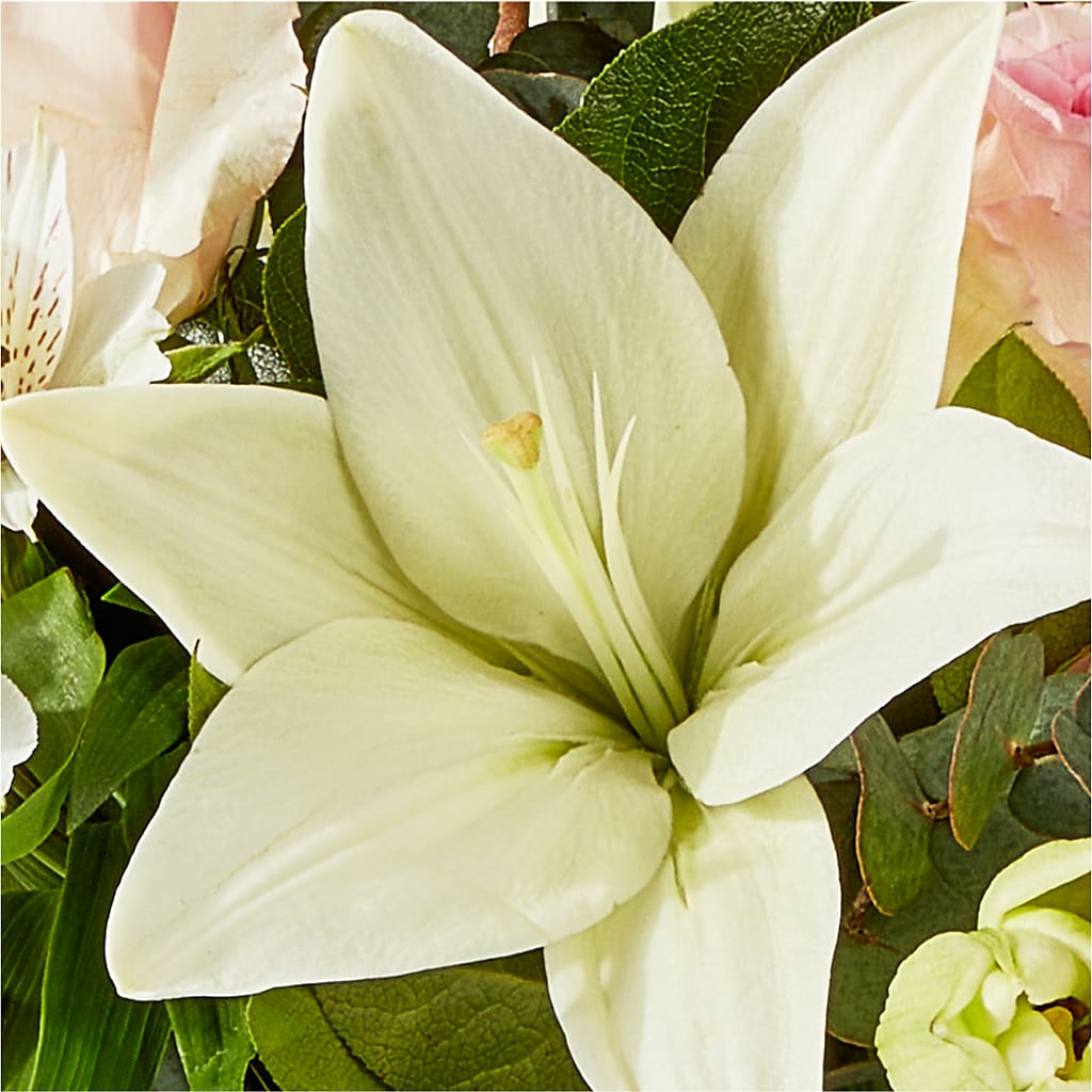 Ballet Slippers Bouquet – VERN'S SHARONVILLE FLORIST, Cincinnati OH