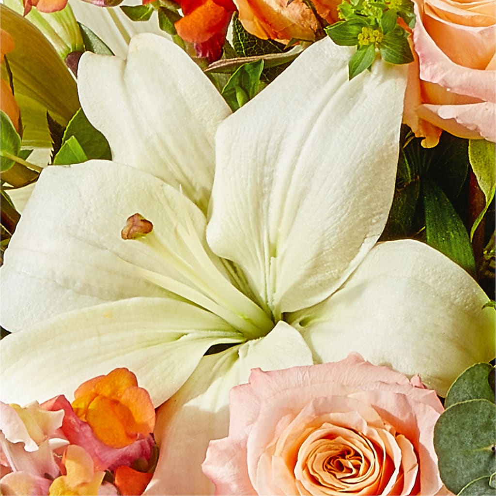 Grapefruit Splash Bouquet – VERN'S SHARONVILLE FLORIST, Cincinnati OH